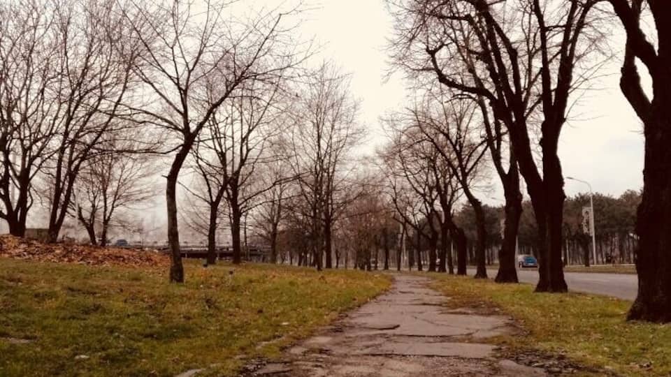 A special walk near USCE center