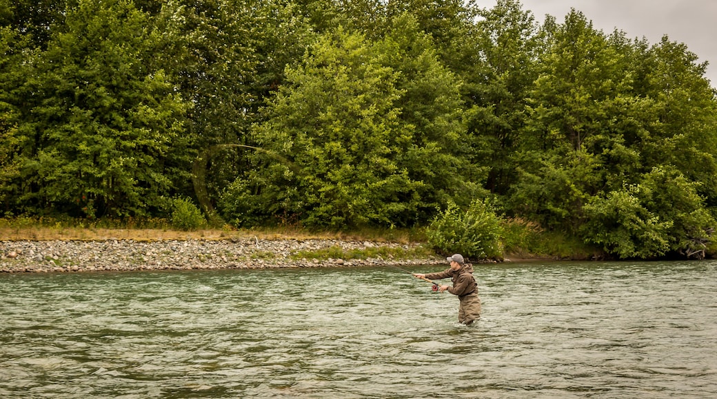 A fly fisherman spey casting while wading in a fast flowing, green, glacial river.