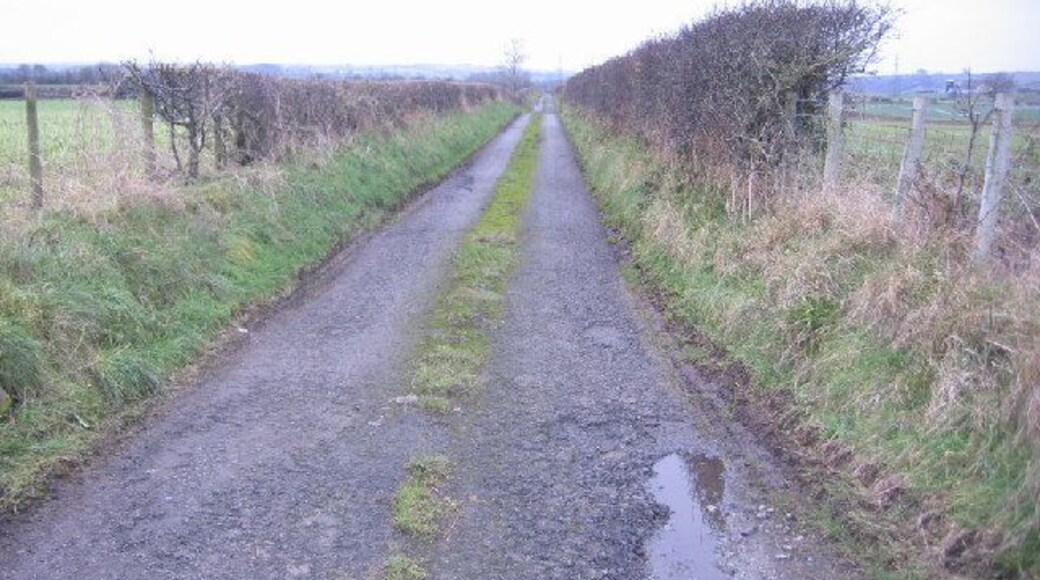 Track with hedges. The hawthorn hedges are helped by the wire fencing now but must have been used without wire years ago.