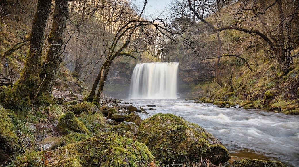 One of the falls on the Four Falls Trail near neath South Wales. #River Photo Challenge #River #Waterfall