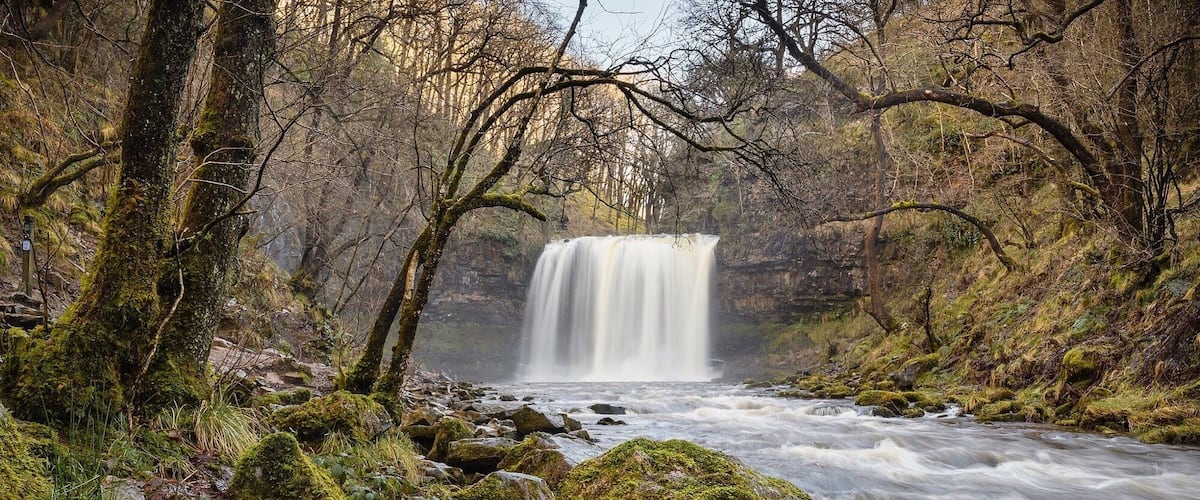 A waterfall in a forested area with moss-covered rocks and trees.