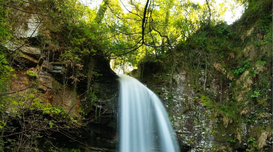 A short walk from the car park are 2 fairly substantial waterfalls. An accessible place for anyone!