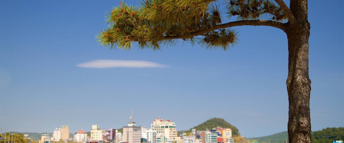 A beach with a city skyline in the background, a clear sky, and a prominent tree in the foreground.