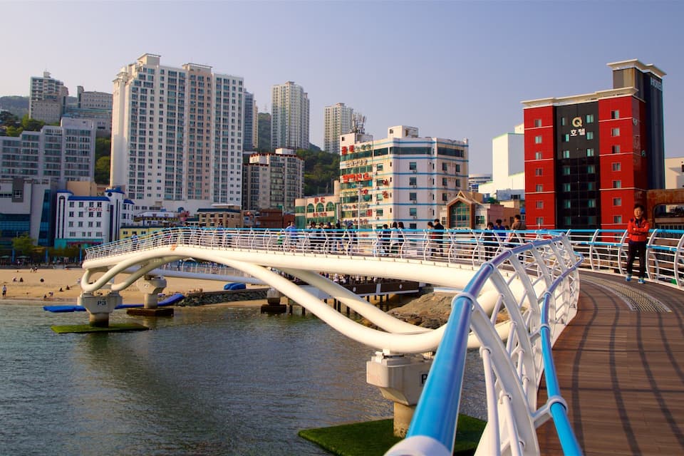 A bridge over water with a cityscape in the background.