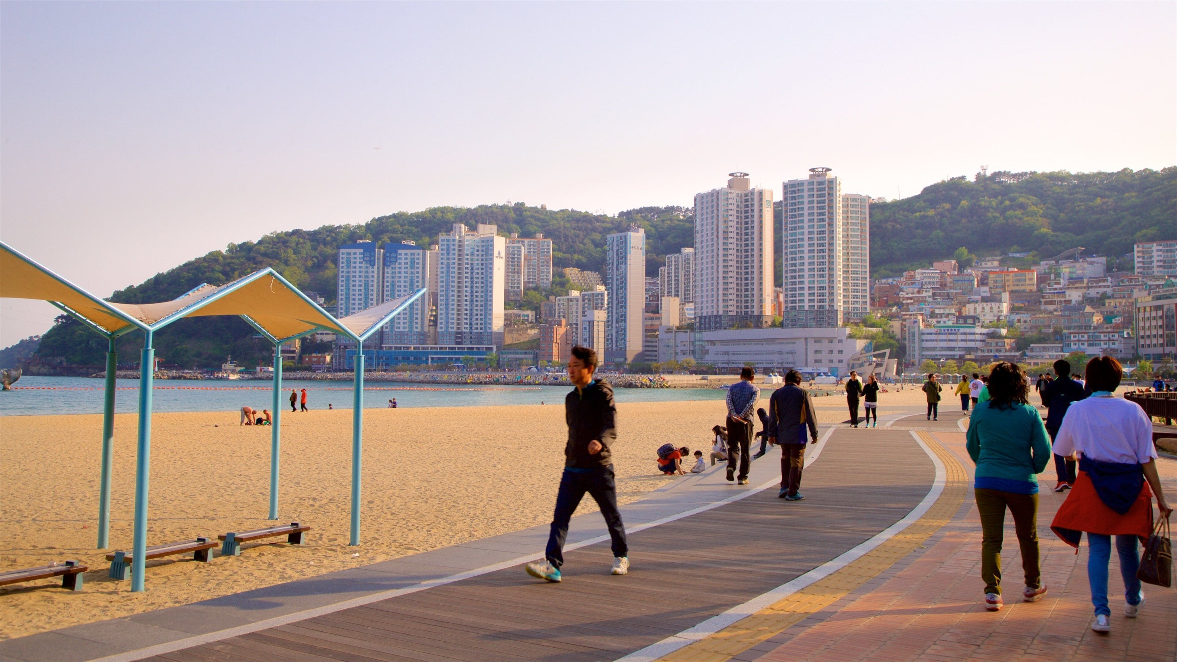 Plage Songdo qui includes paysages côtiers, une plage et un coucher de soleil