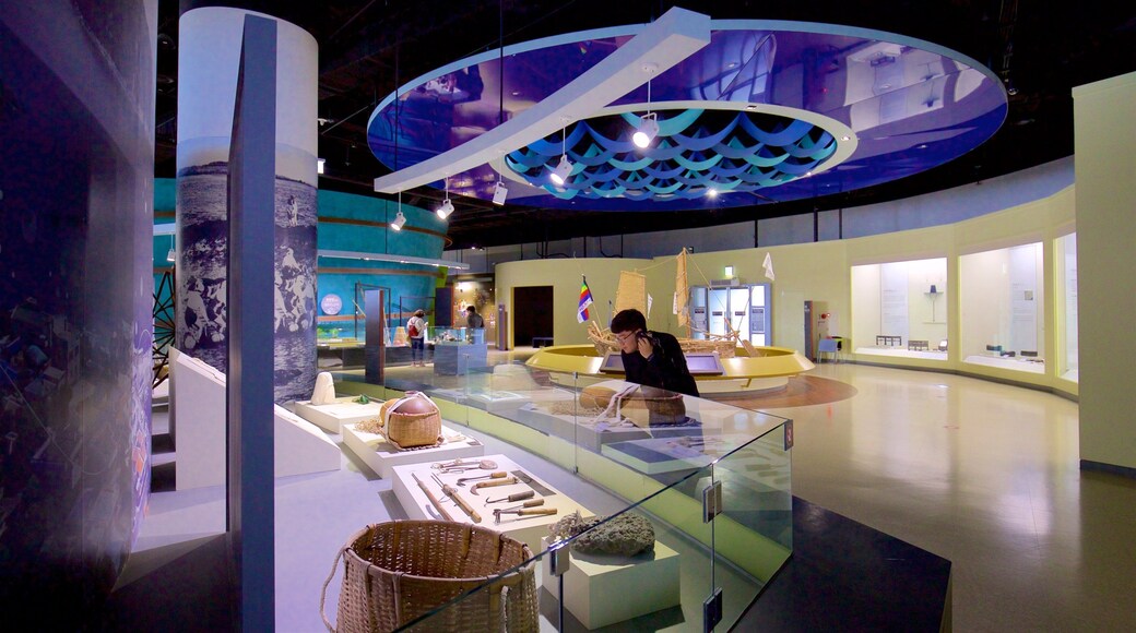 National Maritime Museum featuring interior views as well as an individual male