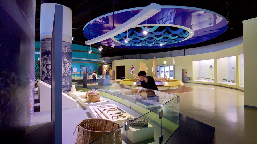 Scheepvaartmuseum bevat interieur en ook een man