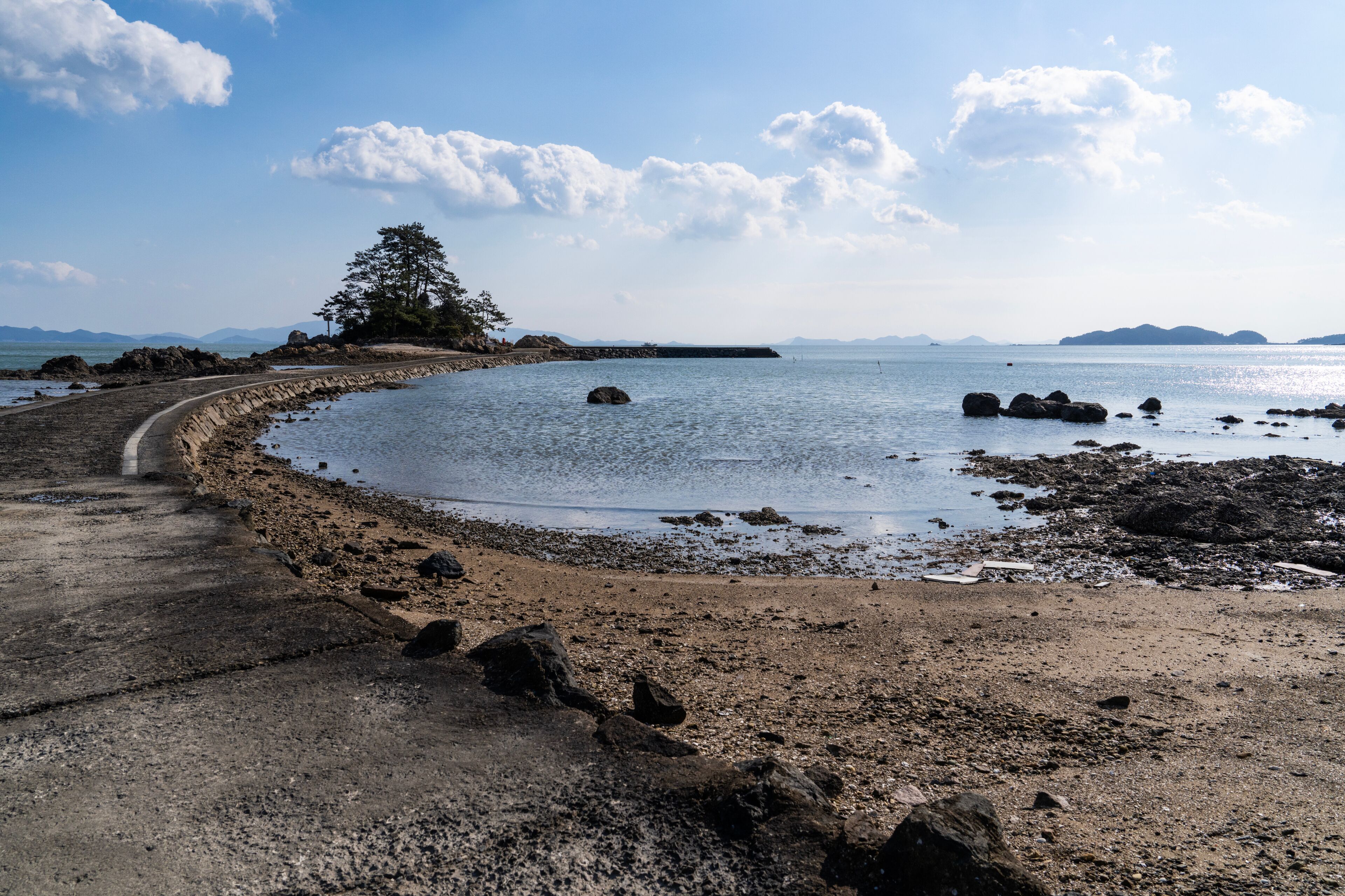 A coastal landscape with a curved concrete path, rocky shoreline, and a solitary tree.