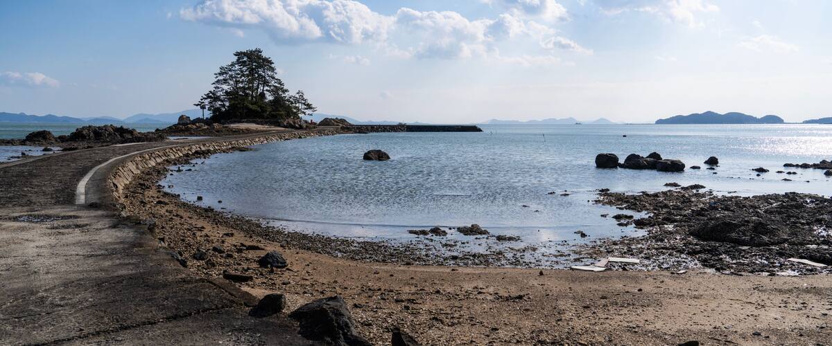 A coastal landscape with a curved concrete path, rocky shoreline, and a solitary tree.