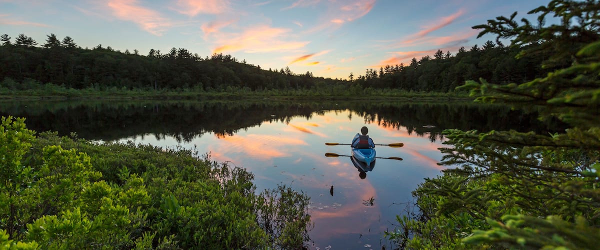 A kayaker on a calm lake surrounded by dense forest.