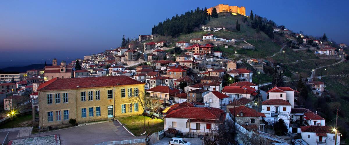 A town with a prominent castle on a hill, surrounded by residential buildings with red roofs.