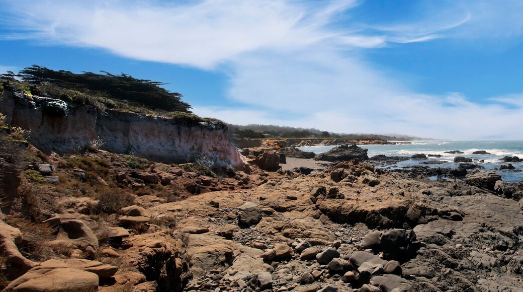 レフィングウェル ランディング