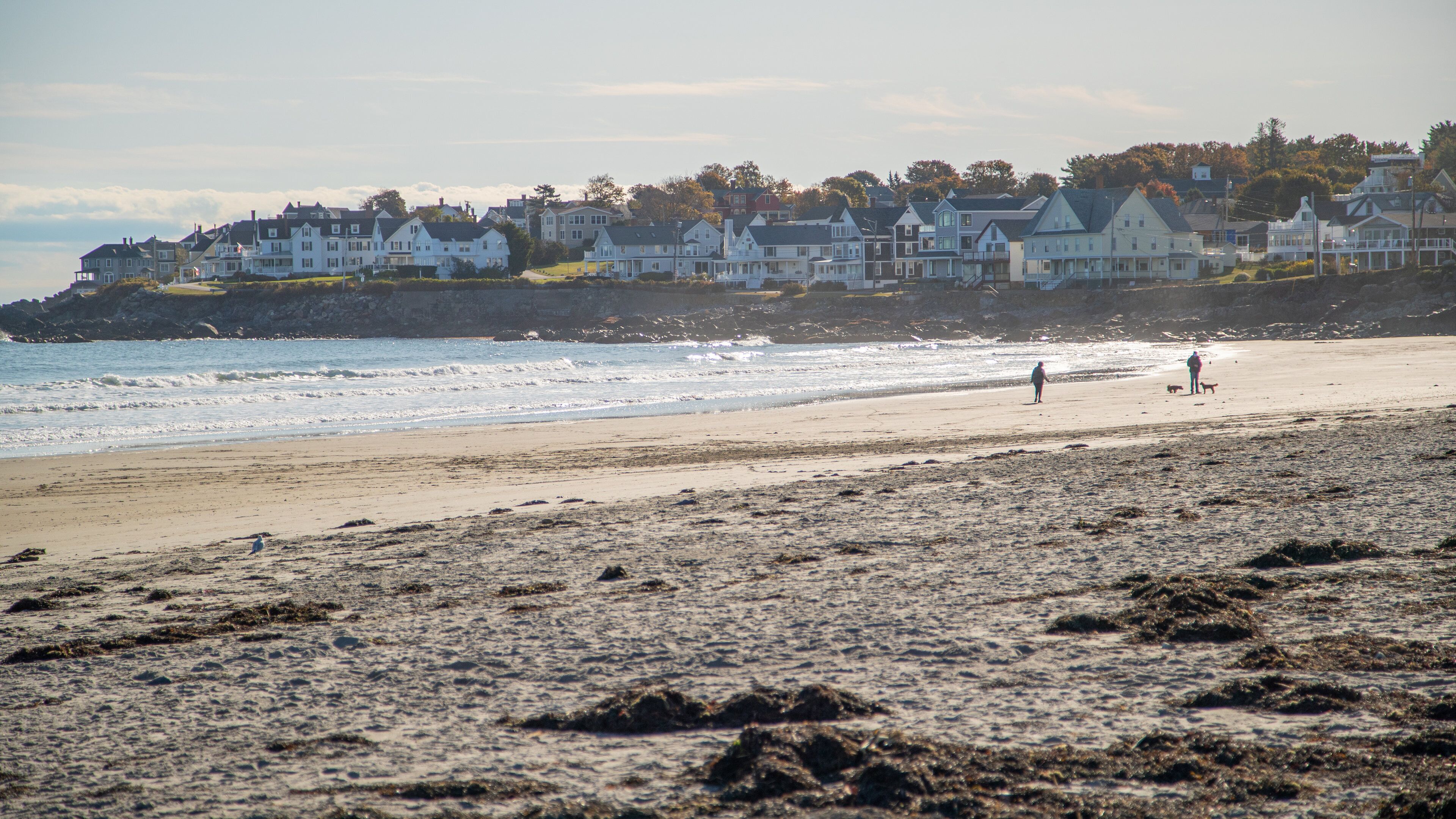 Short Sands Beach which includes a sandy beach, a coastal town and general coastal views
