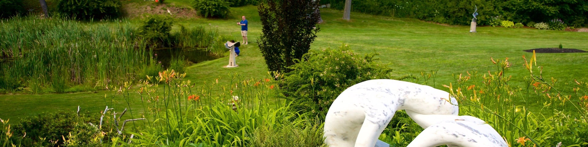 Ogunquit Museum of American Art caracterizando um parque, arte ao ar livre e flores silvestres