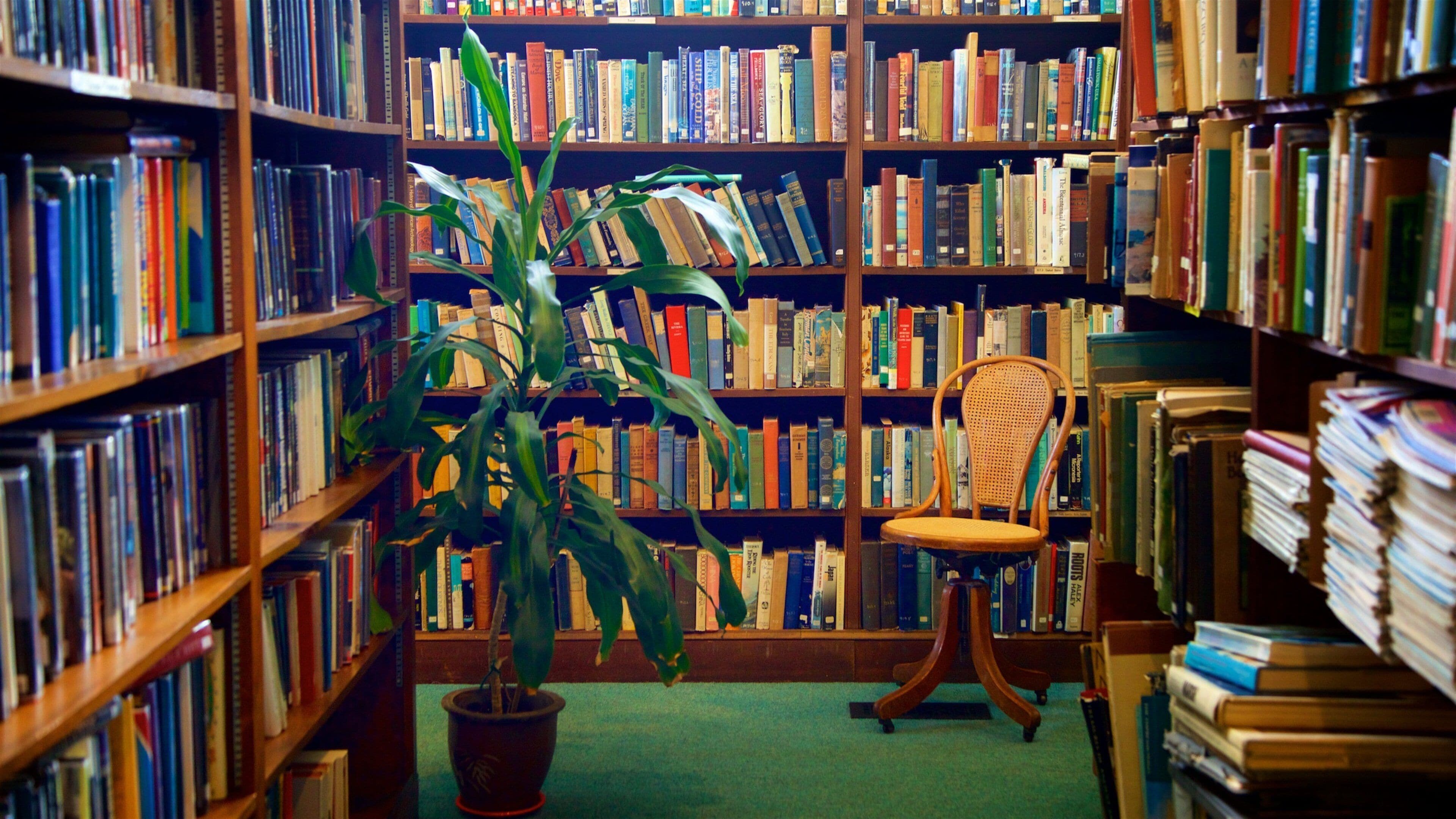 Ogunquit Memorial Library showing interior views