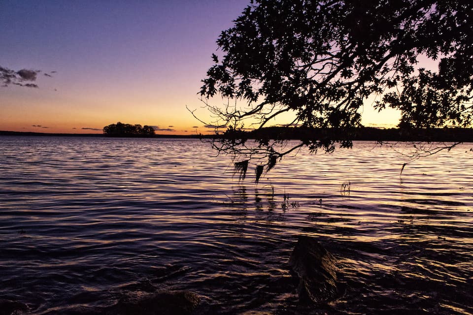 Um pôr do sol sobre águas calmas, com a silhueta de uma árvore recortada no céu.