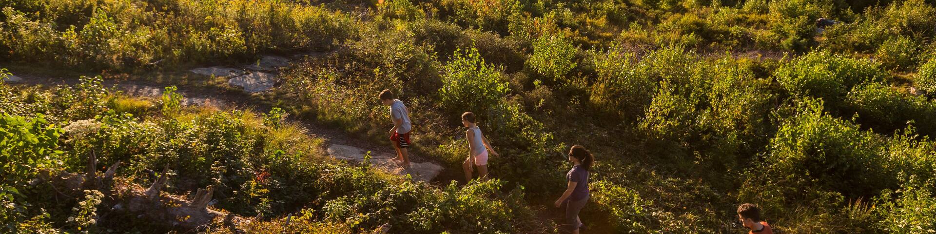 A family of four hiking on the summit of Mount Agamenticus in York, Maine.
