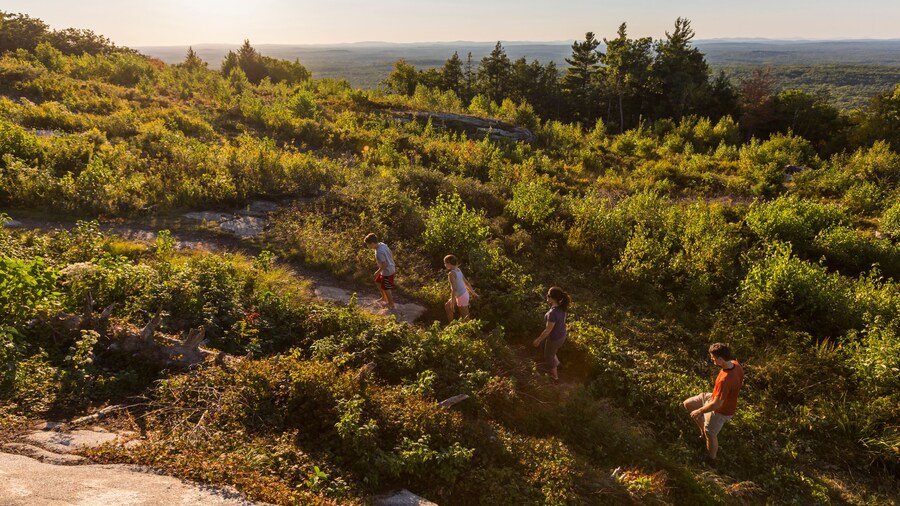 阿加門提庫斯山