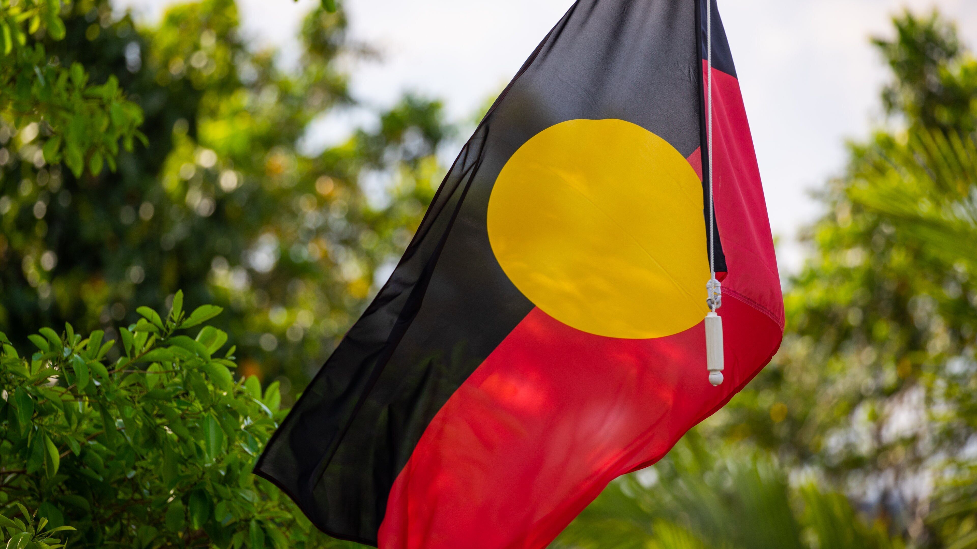Mossman Gorge Center