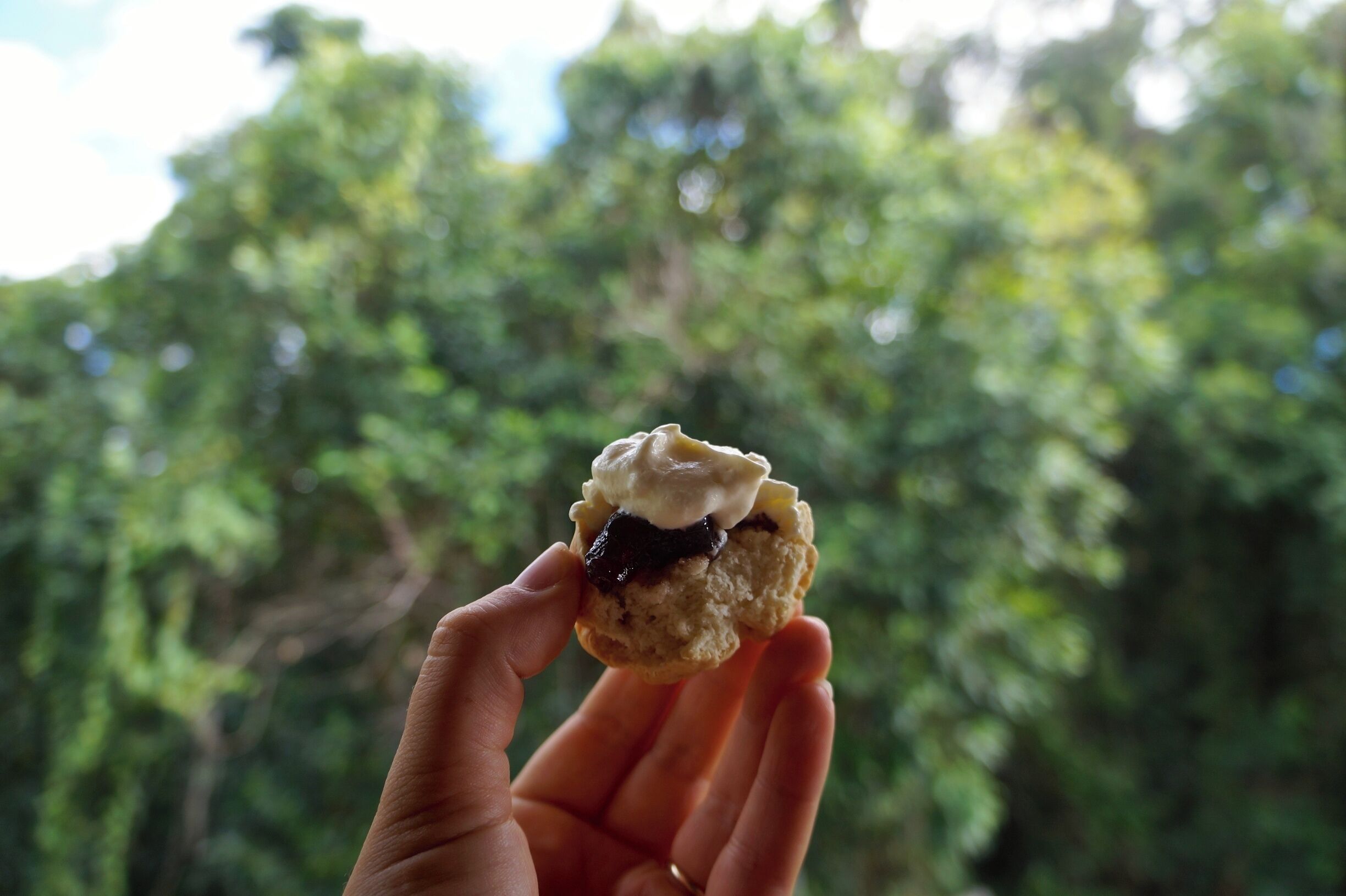 For a morning tea with a difference visit the Mossman gorge centre. They serve wattle seed damper bread scones - very traditional - and you can eat them nestled amongst the world heritage Daintree rainforest. It's a bit special.

#delicious #colorful

www.cheskiesgaplife.com