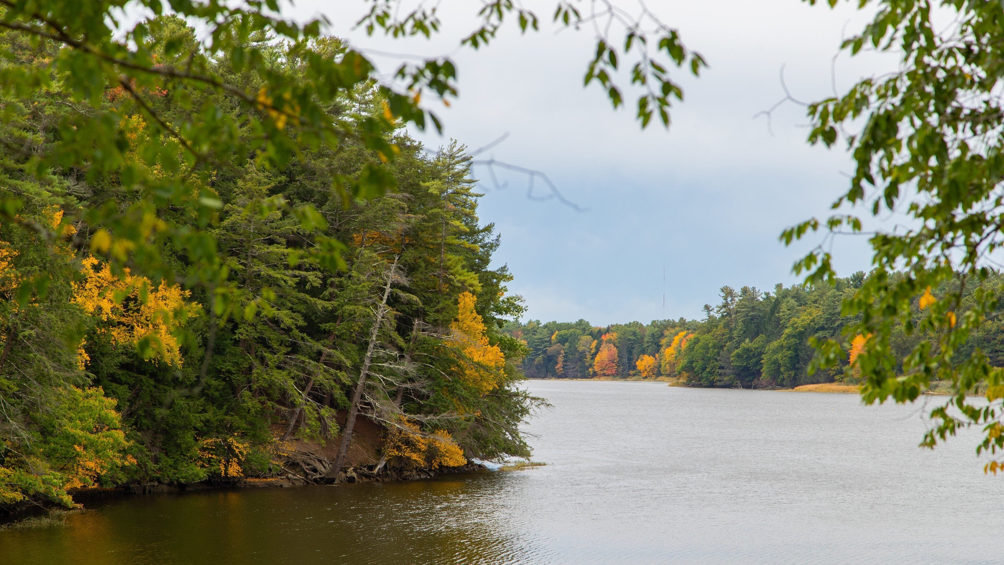 Hamilton House featuring a river or creek