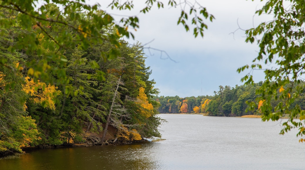 Hamilton House featuring a river or creek