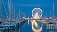 Rimini Ferris Wheel featuring night scenes and a bay or harbor