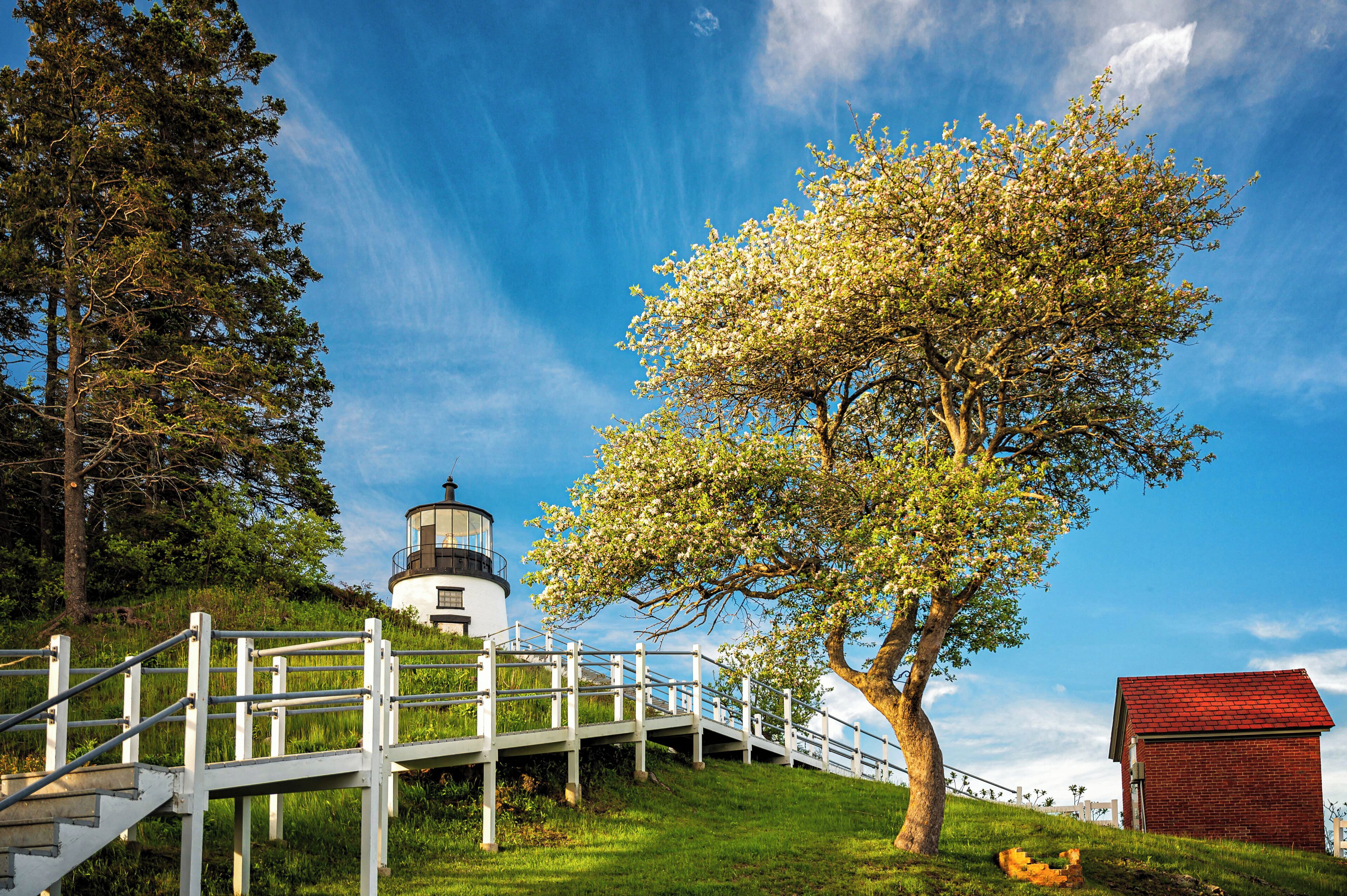 Owls Head Lighthouse sits majestically atop an 80-foot bluff overlooking Penobscot Bay, near the entrance to Rockland Harbor along Midcoast Maine. Once atop the lighthouse visitors have the chance to admire the gorgeous fourth order Fresnel lens that dates back to 1856 while enjoying panoramic views of the bay, islands and marine traffic, including Maine’s elegant windjammer fleet.
#travel #Adventure #trovember