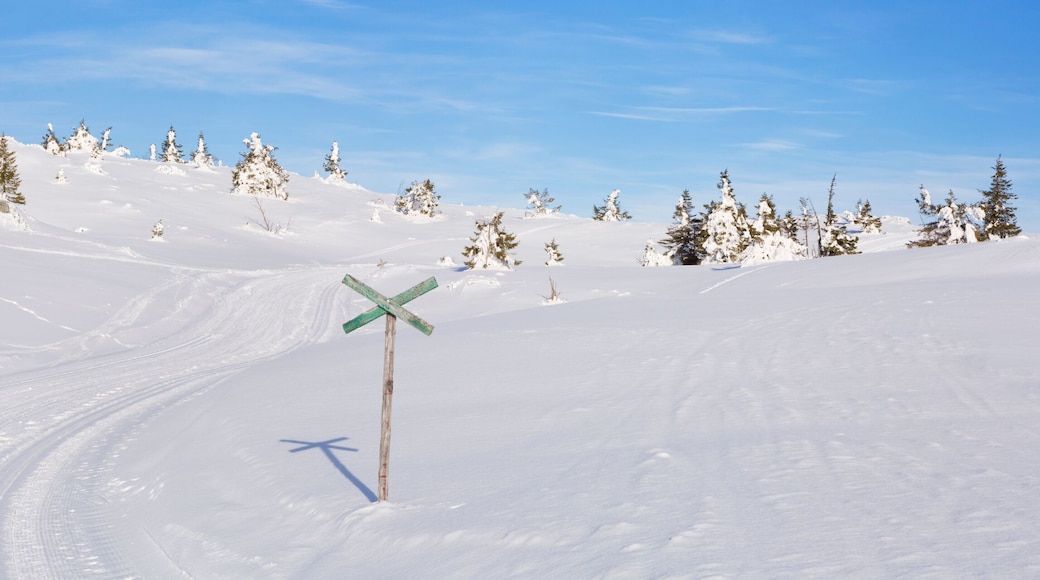 Cross-country trail through a snowy landscape in Trysil, Norway
