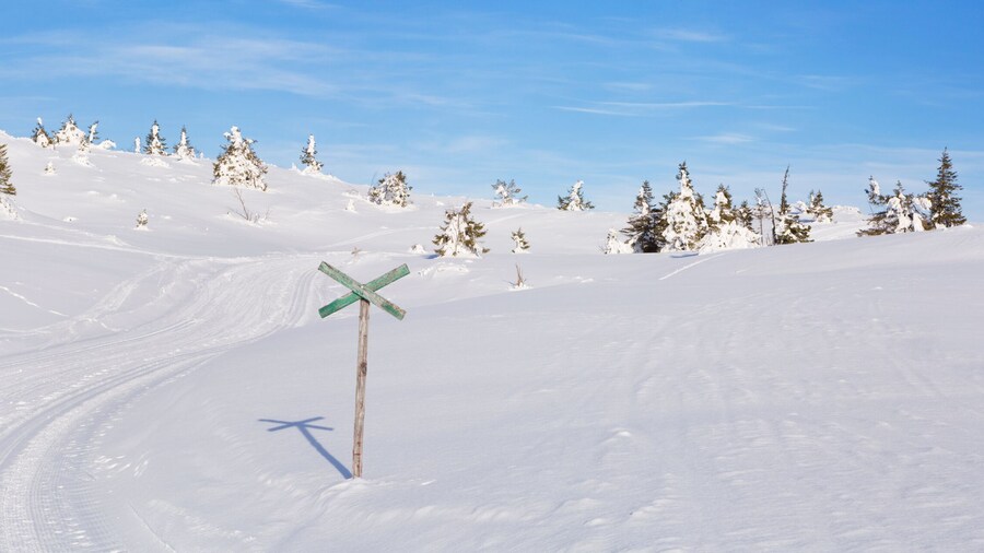 Trysil Ski Resort (Skigebiet)