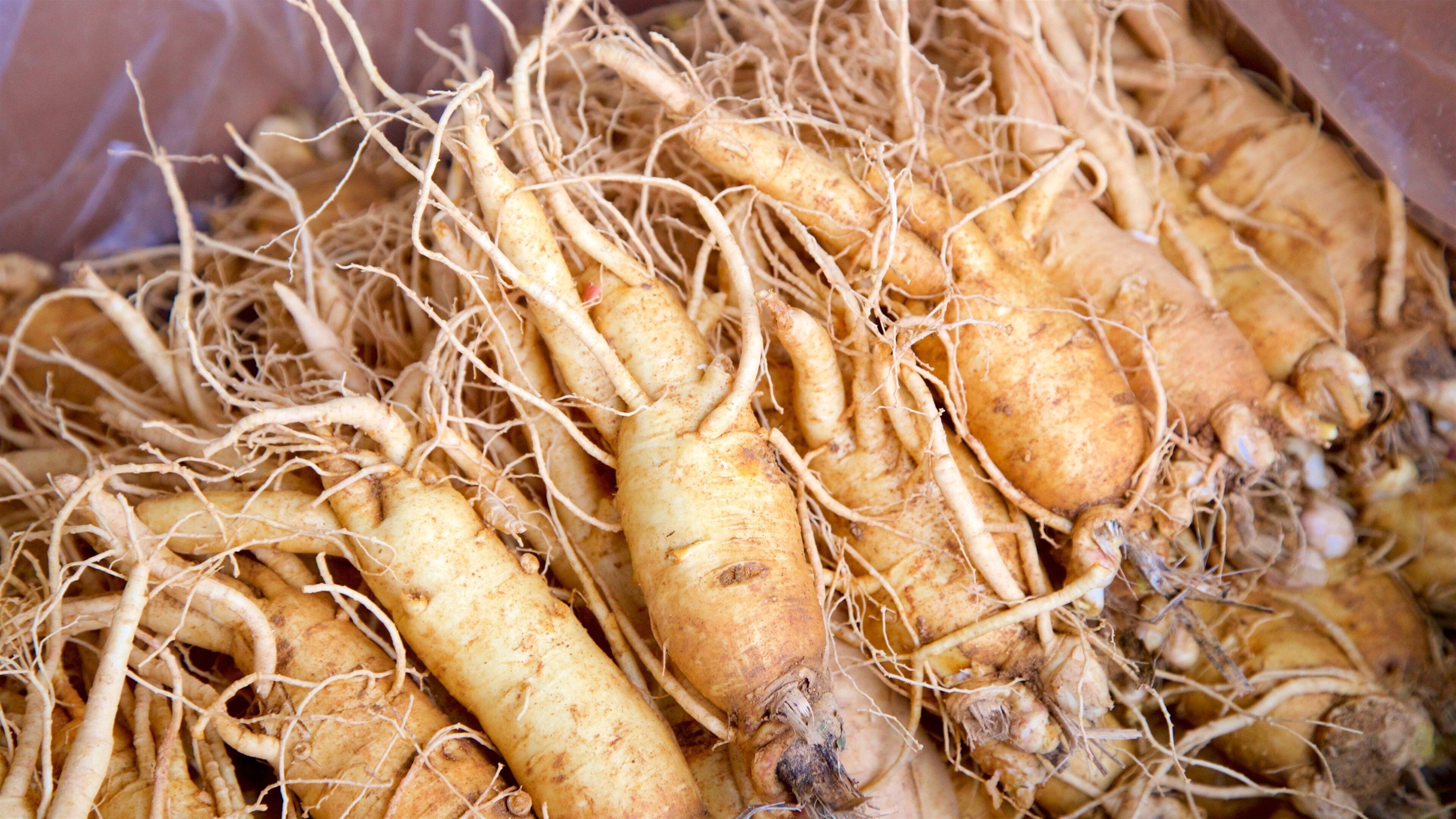 Ganghwa showing food and markets