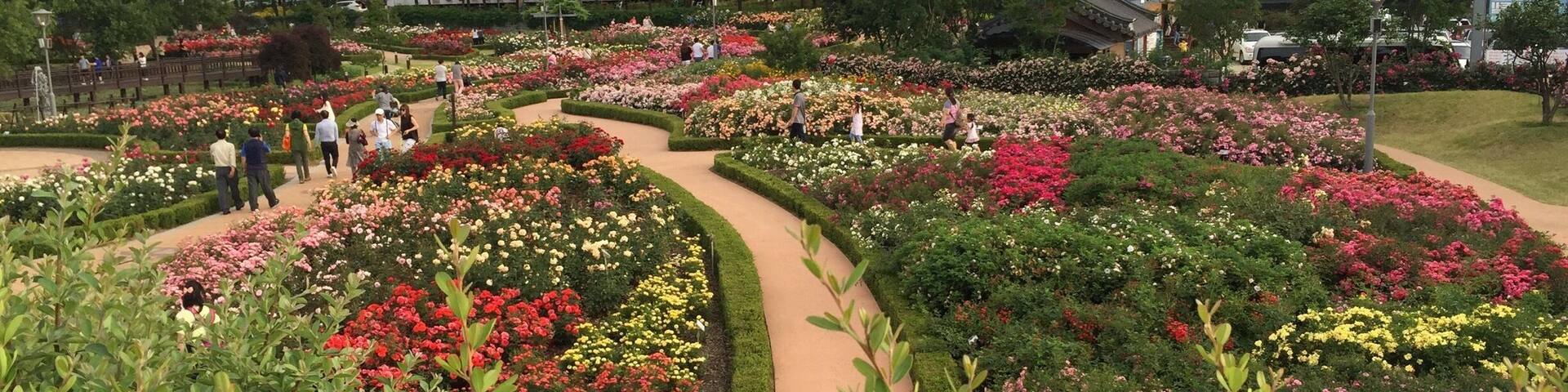 Korean called "Gi cha maeul" which is placed
in Gok seong of Jeon la
nam do.