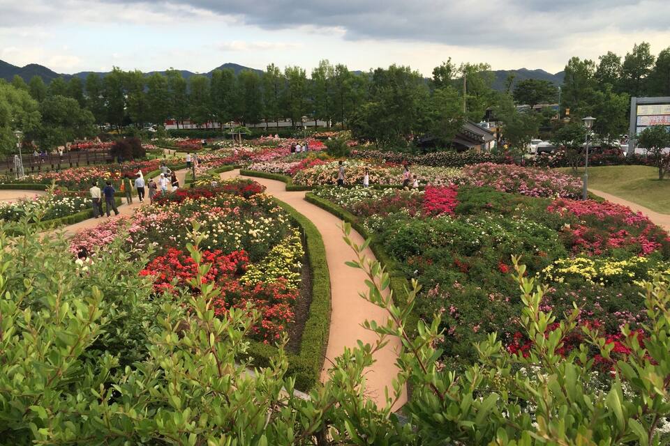 Een aangelegde tuin met kronkelende paden en diverse kleurrijke bloemen.