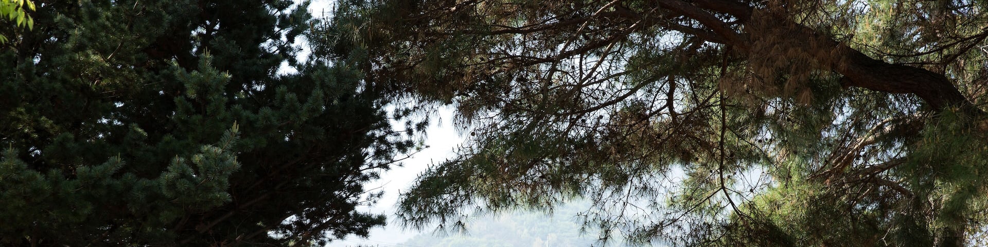 Cheongdo hyanggyo is a school in Joseon Dynasty.