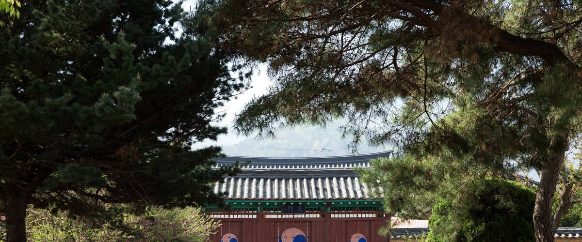 A traditional Korean gate with a tiled roof, surrounded by neatly trimmed bushes and trees.