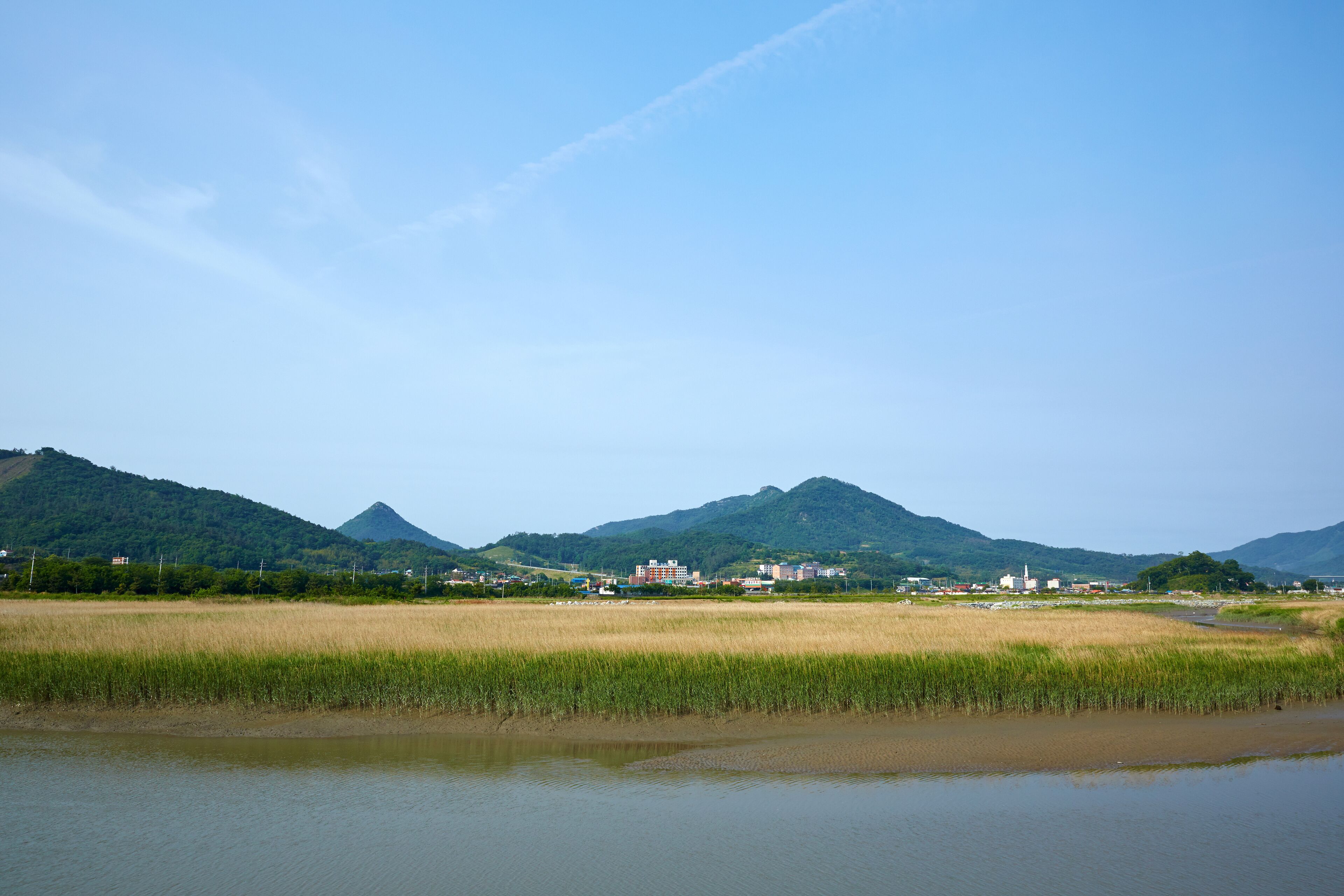 A river with a rice field and mountains in the background.