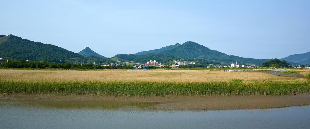 A river with a rice field and mountains in the background.