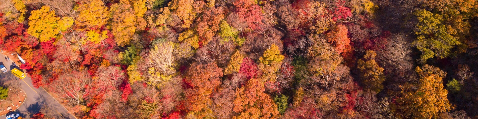 Autumn of Naejangsan National Park,South Korea.
