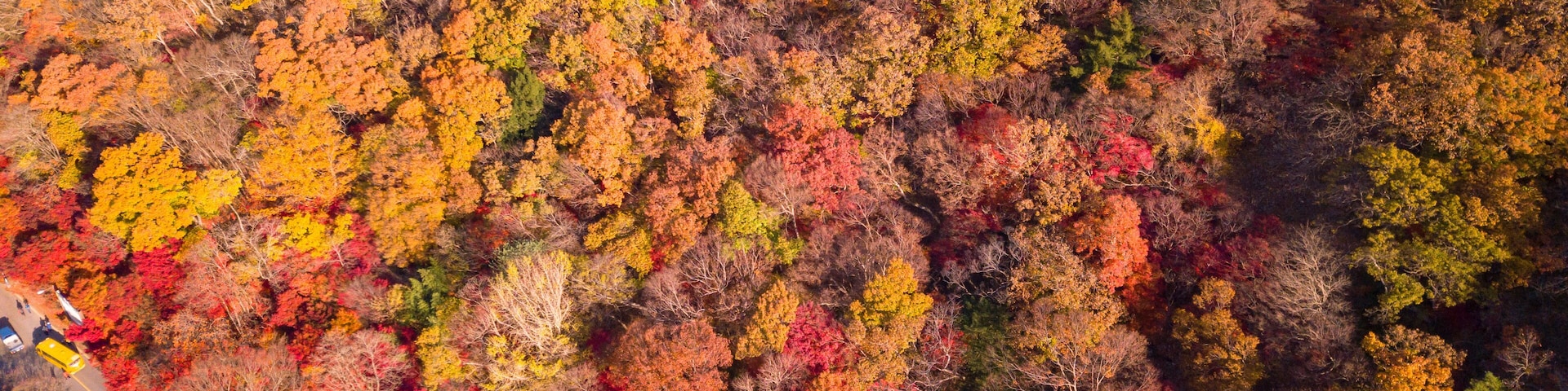 Autumn of Naejangsan National Park,South Korea.