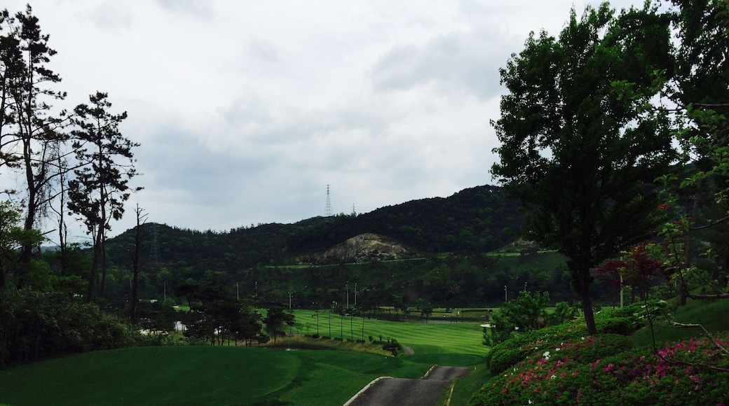 Happiness golf club
in southwest korea.
so good place for play
with friends.