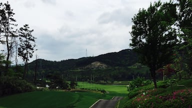 Happiness golf club
in southwest korea.
so good place for play
with friends.