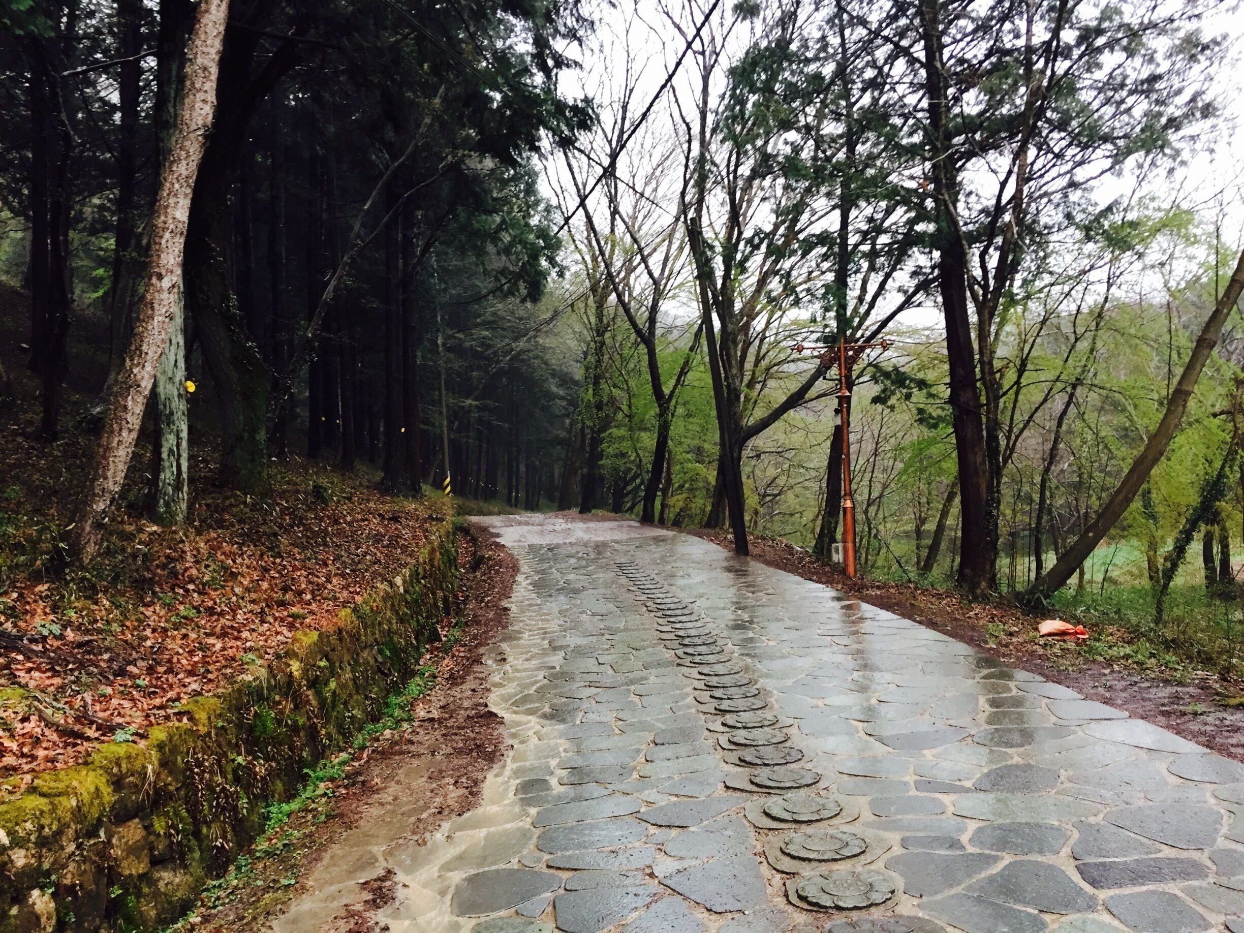 amazing place to walk
for me