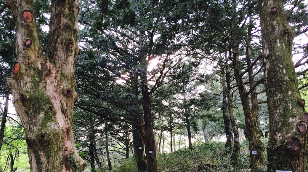 ๋น์๋ฆผ์ฒ๊ณผ ์ผ์์ฐจ๋ฐญ