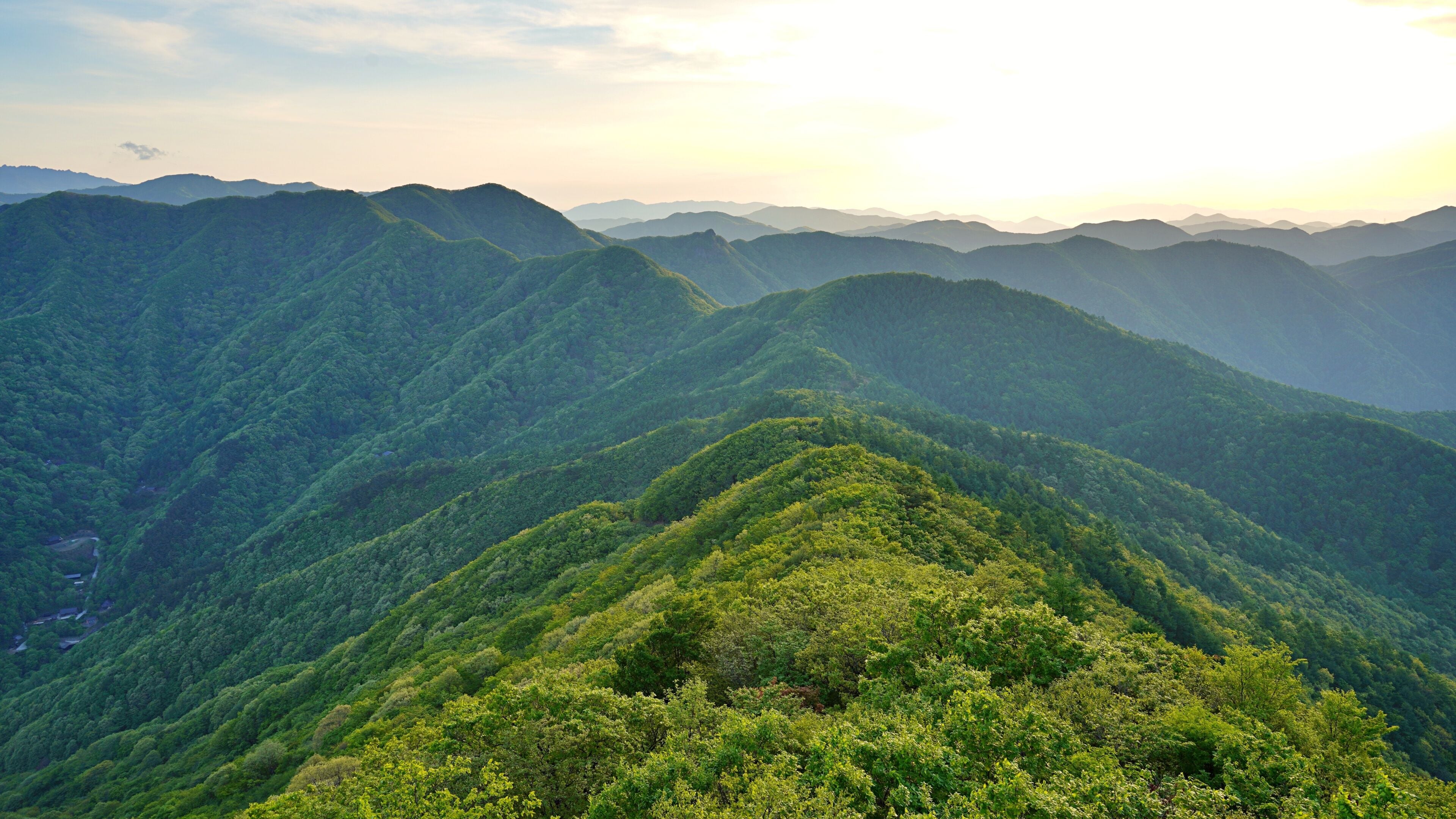 A mountainous landscape with dense green forests and a valley.