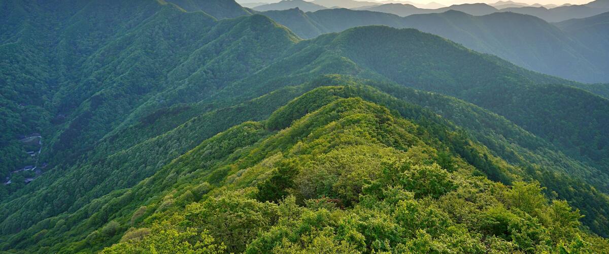 A mountainous landscape with dense green forests and a valley.