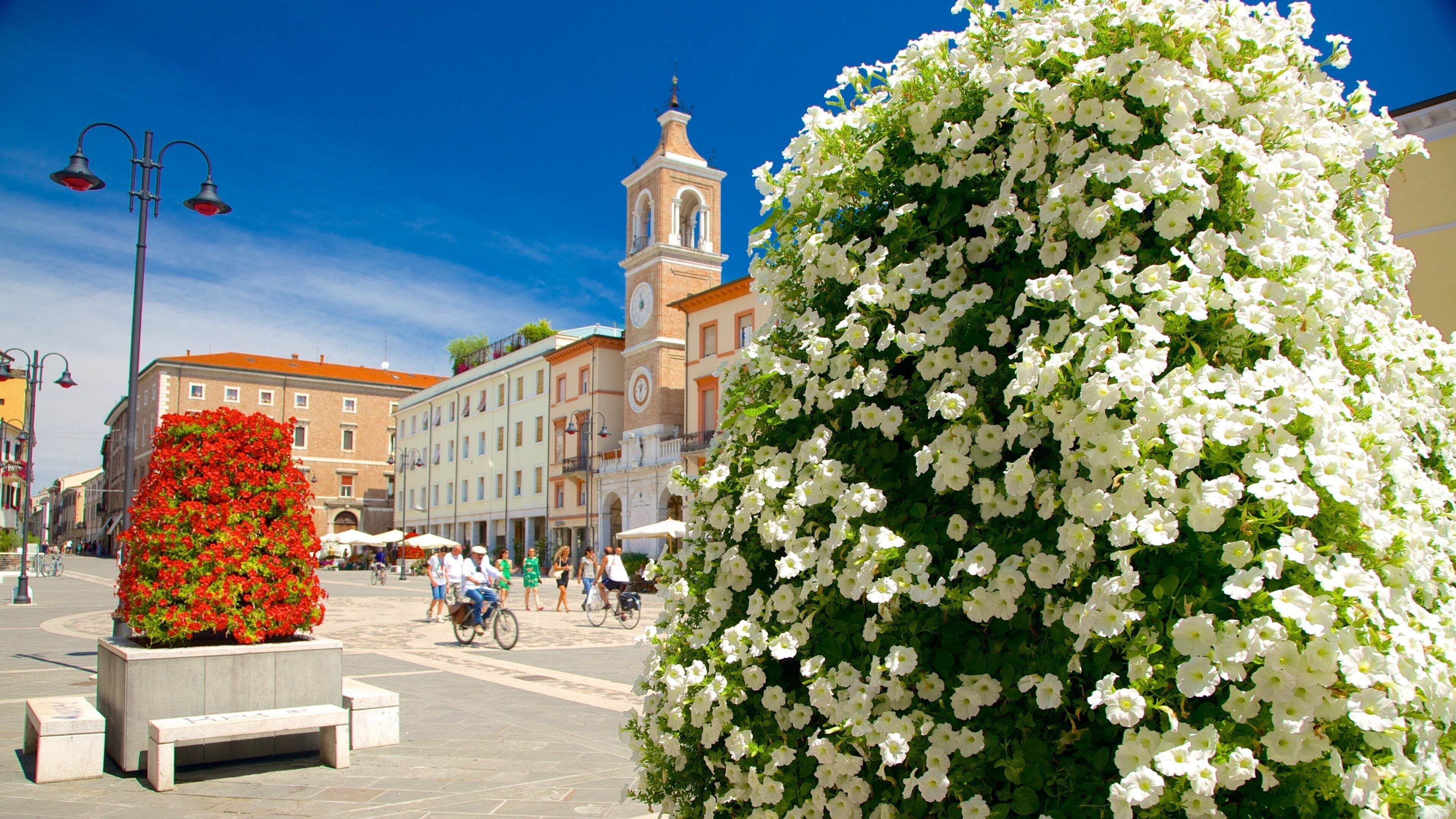 Piazza Tre Martiri featuring wildflowers, street scenes and flowers