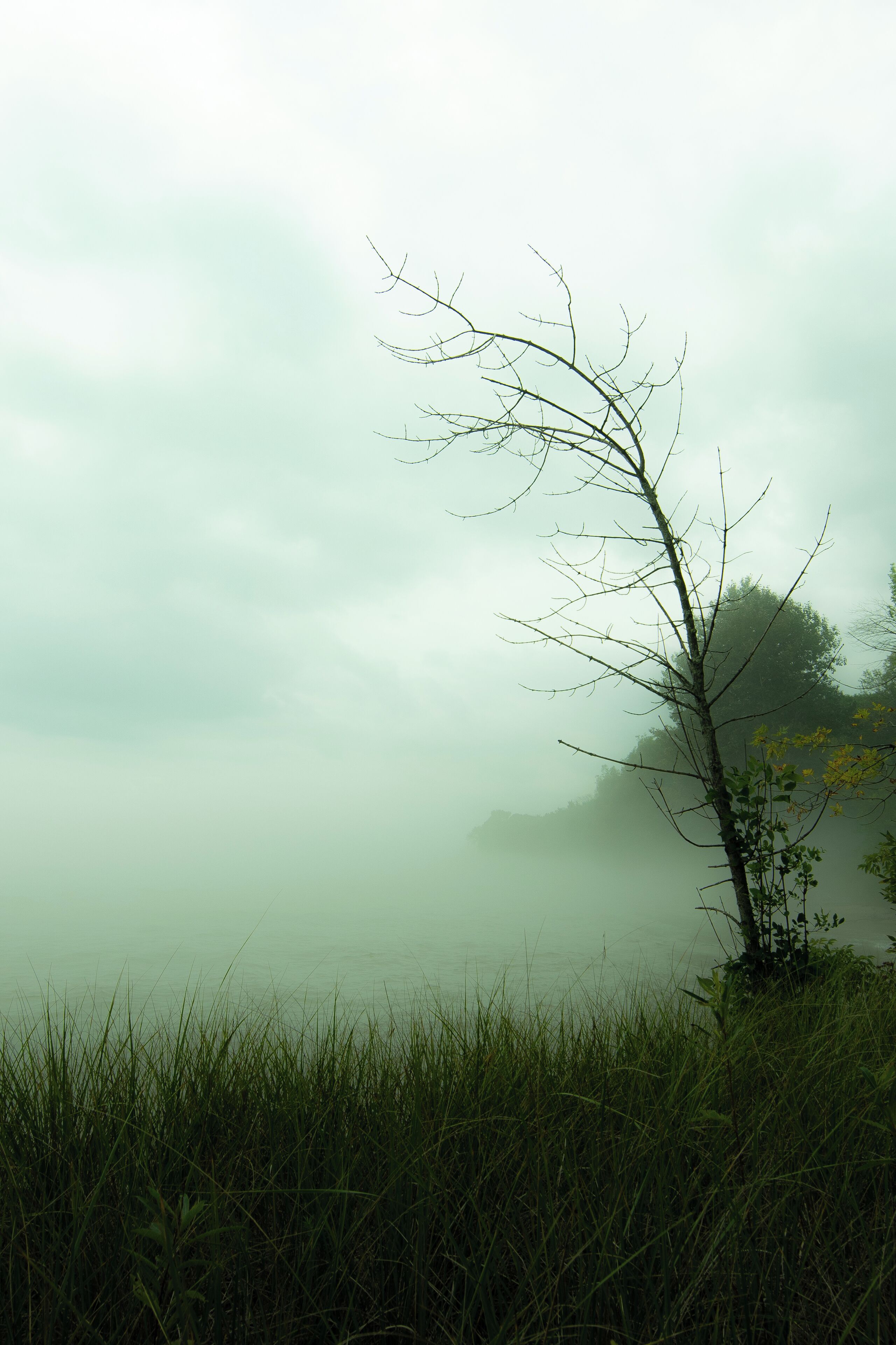 Great Wisconsin State Park. Catch the quarry too.