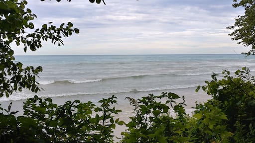 A beach that is also a lake is one unique find for one who is used to warm beaches in south Texas. Here it was too cold to even walk the shore barefoot. It looks so similar to what I'm used to, yet so different, surrounded by green life and deer! I hope to have more opportunities to travel and capture these sights. #Adventure