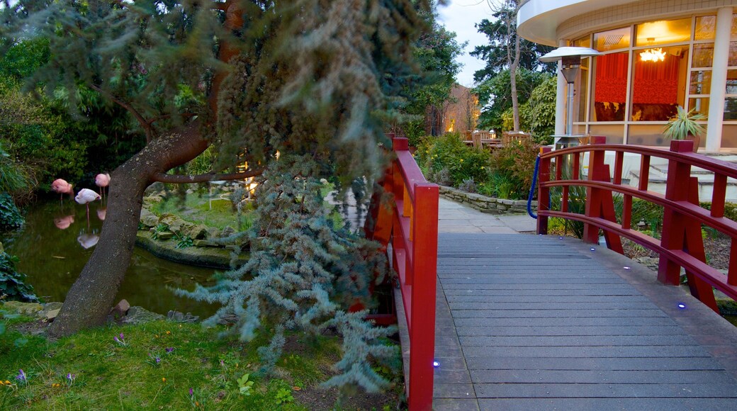 สวนดาดฟ้า Kensington เนื้อเรื่องที่ สวนสาธารณะ และ สะพาน