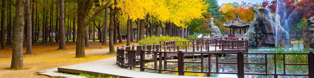 Autumn in Nami Island, South Korea